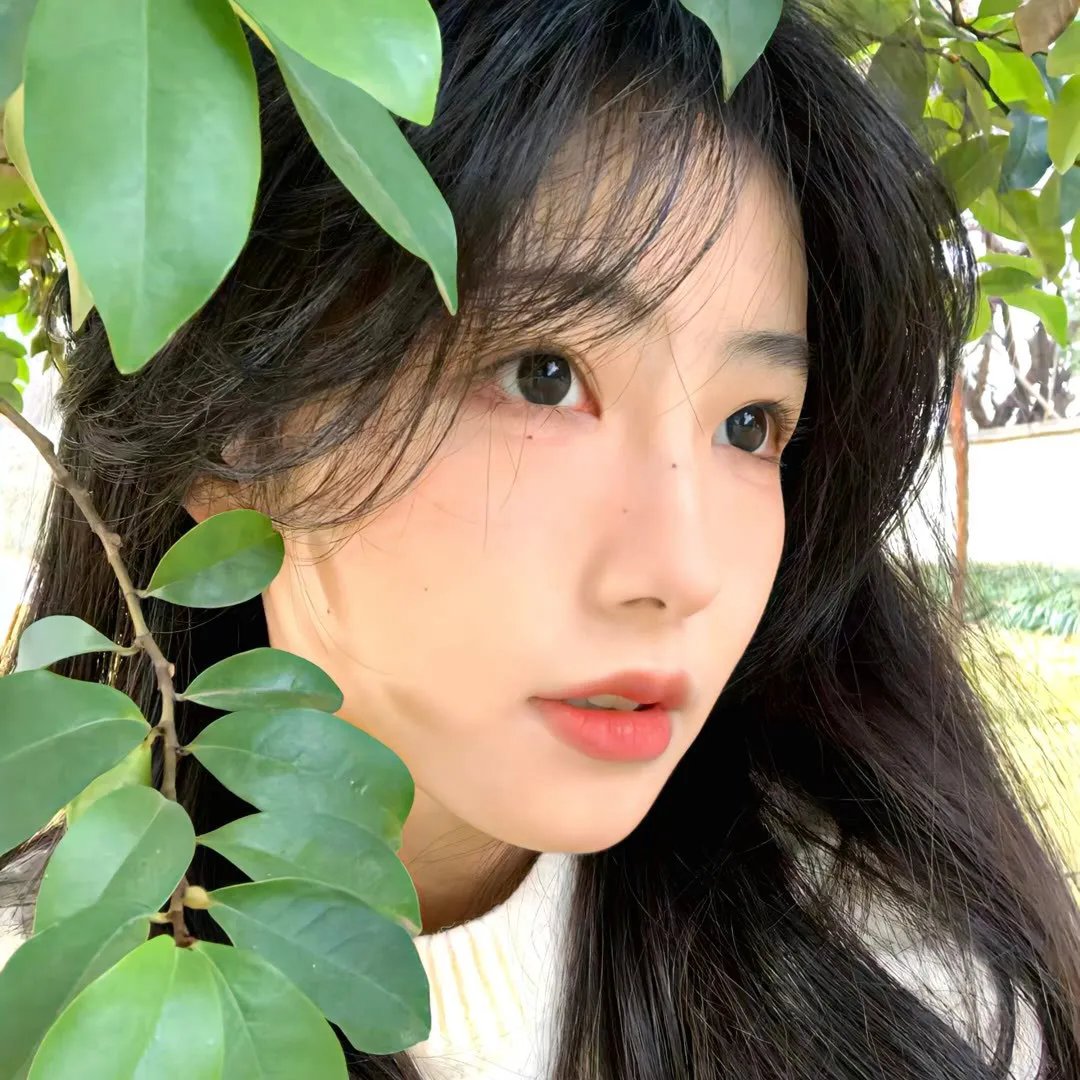 我的师兄惹不起